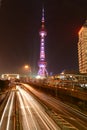 Oriental Pearl Tower at Night Royalty Free Stock Photo